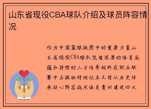 山东省现役CBA球队介绍及球员阵容情况