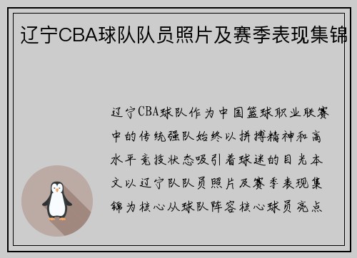 辽宁CBA球队队员照片及赛季表现集锦